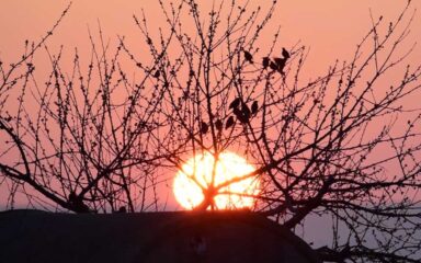 los llanos de calera naturaleza