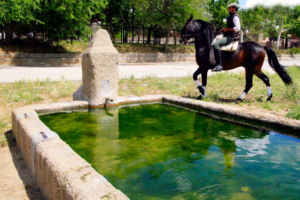 fuentes y pilones calera y chozas via verde de la jara