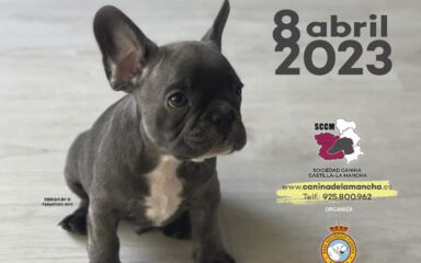concurso canino calera y chozas