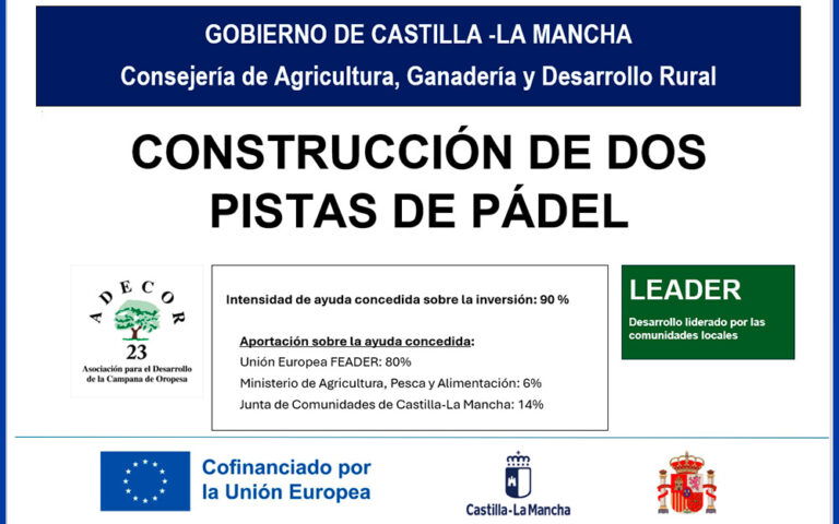 construccion dos pistas de padle en caleraychozas